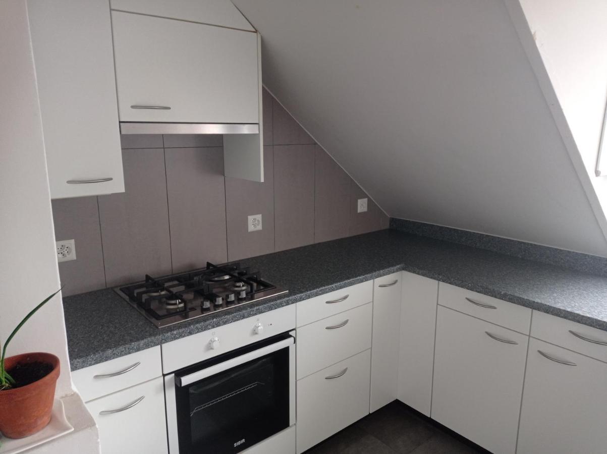 Gemuetliche Dachwohnung St. Gallen Exterior foto